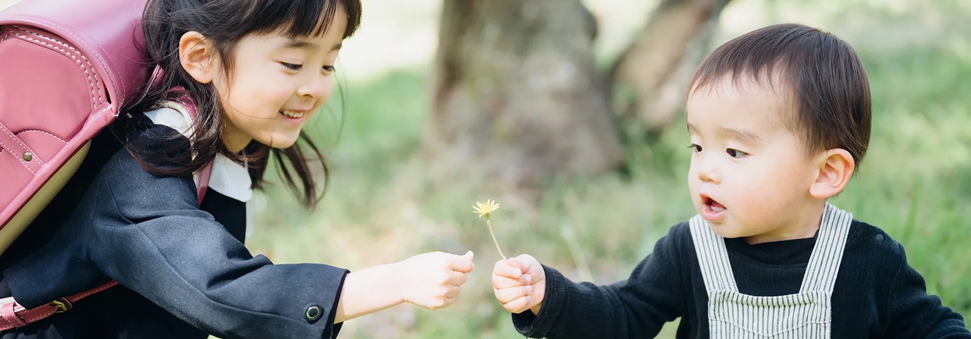 満開の桜の下で
